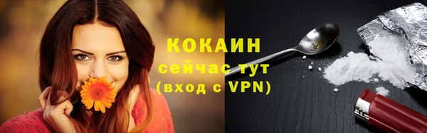 амф Ельня