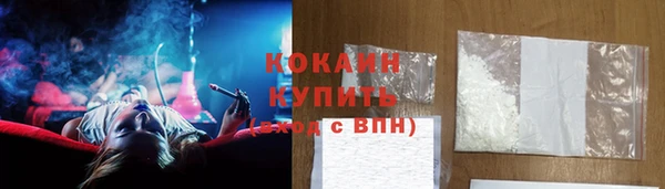 гидропоника Дмитриев