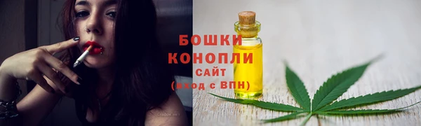 гидропоника Дмитриев