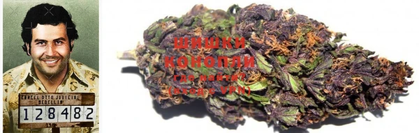 гидропоника Дмитриев
