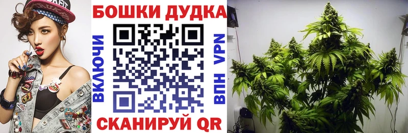 Шишки марихуана сатива  Купить где  Ивдель 